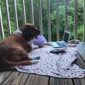 Meet your Posher, Troy